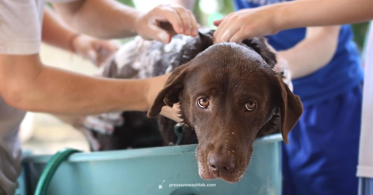 100 ft Hose Guide - Pressure Wash Lab