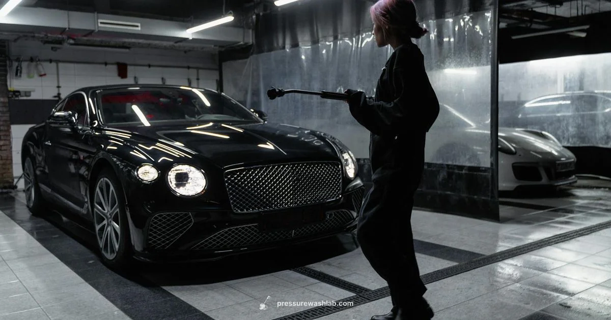 PSI Guide for Washers PSI Guide for Washers - Pressure Wash Lab