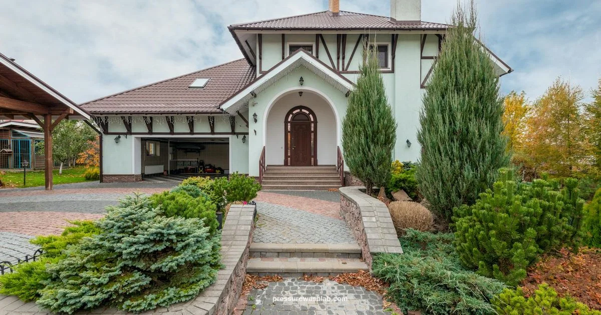 Dewalt vs Ryobi Dewalt vs Ryobi - Pressure Wash Lab