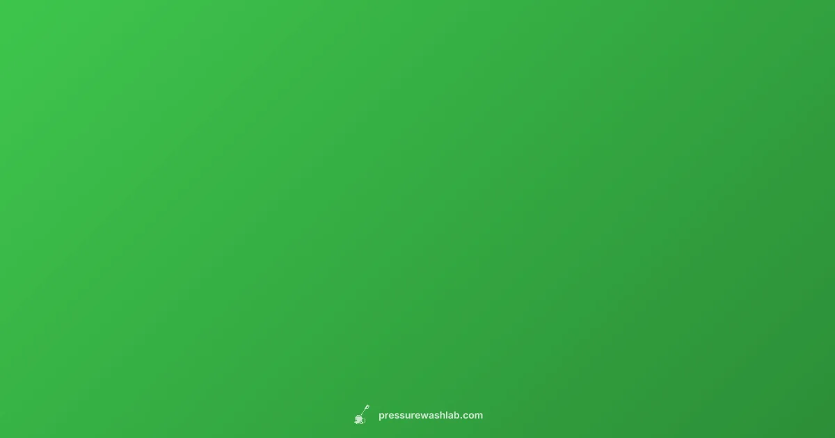 Ryobi Recall Guide - Pressure Wash Lab (illustration)