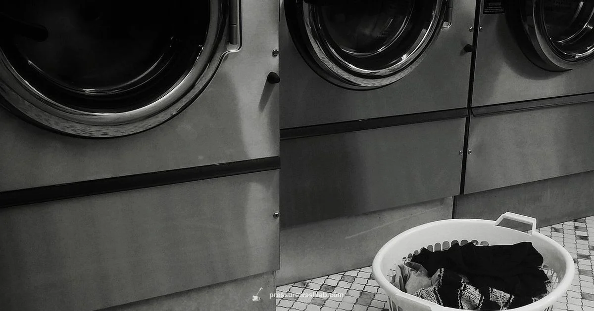 Compact & Practical - Pressure Wash Lab