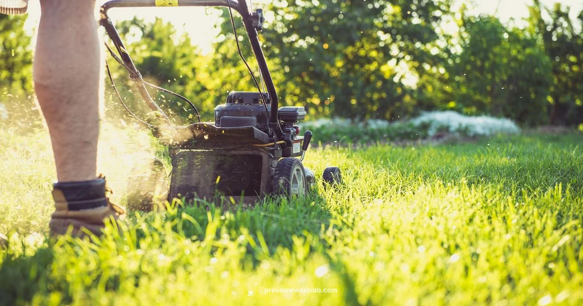 Power on a Budget - Pressure Wash Lab