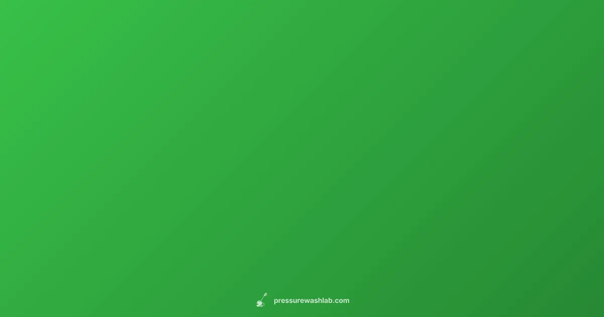 DeWalt Engine OEMs - Pressure Wash Lab (illustration)