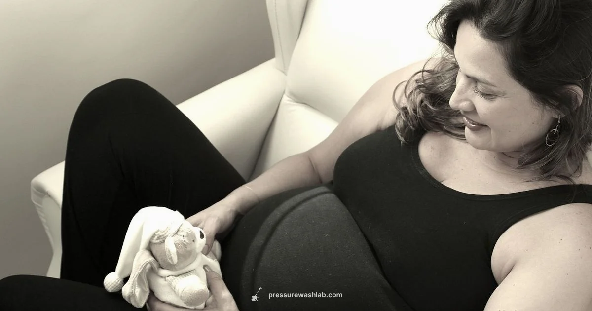 Pregnancy Safety Tips - Pressure Wash Lab