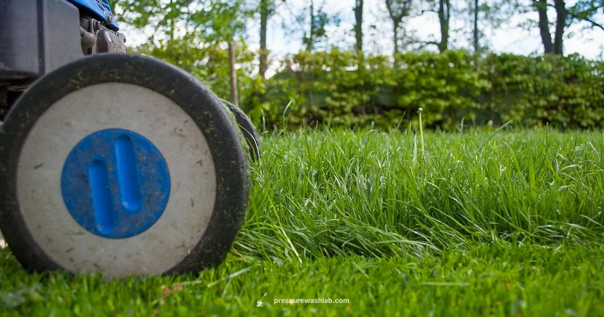 Commercial Service Guide Commercial Service Guide - Pressure Wash Lab