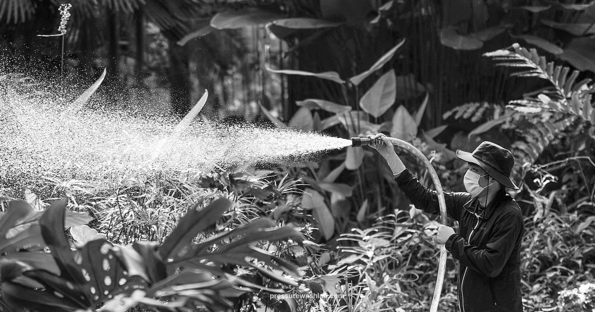 Dry Run Risks Dry Run Risks - Pressure Wash Lab