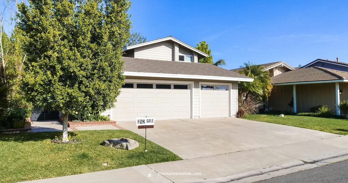 Echo Pressure Washer Overview - Pressure Wash Lab