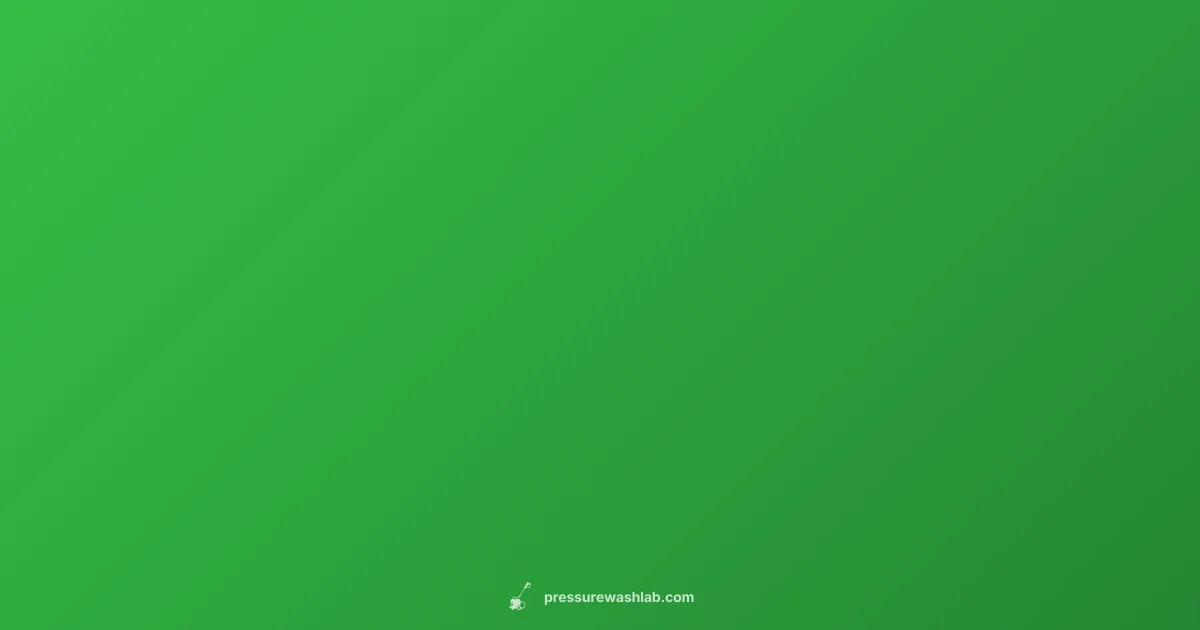 Ryobi Washer Guide - Pressure Wash Lab (illustration)