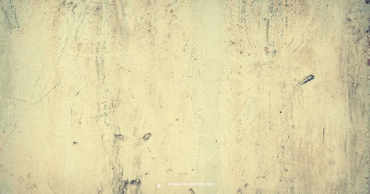 Power Wash Basics Power Wash Basics - Pressure Wash Lab