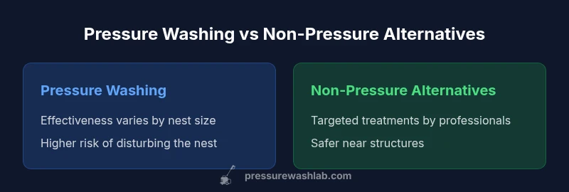 Comparison infographic showing pressure washing vs non-pressure alternatives for wasp nest removal