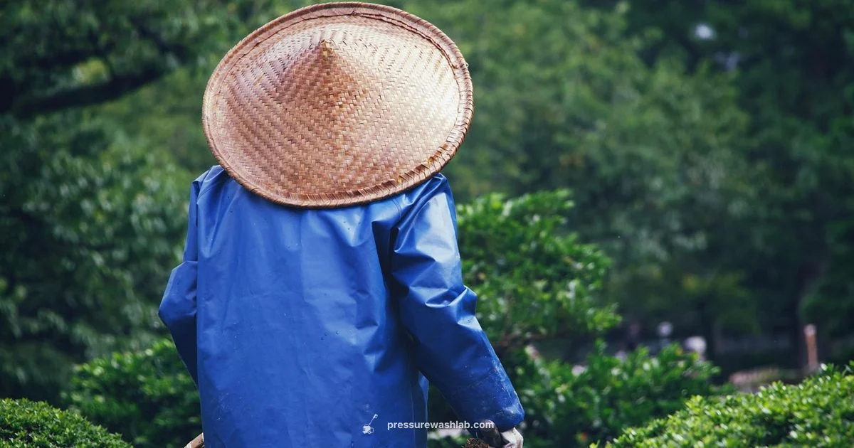 Yard Force Guide - Pressure Wash Lab