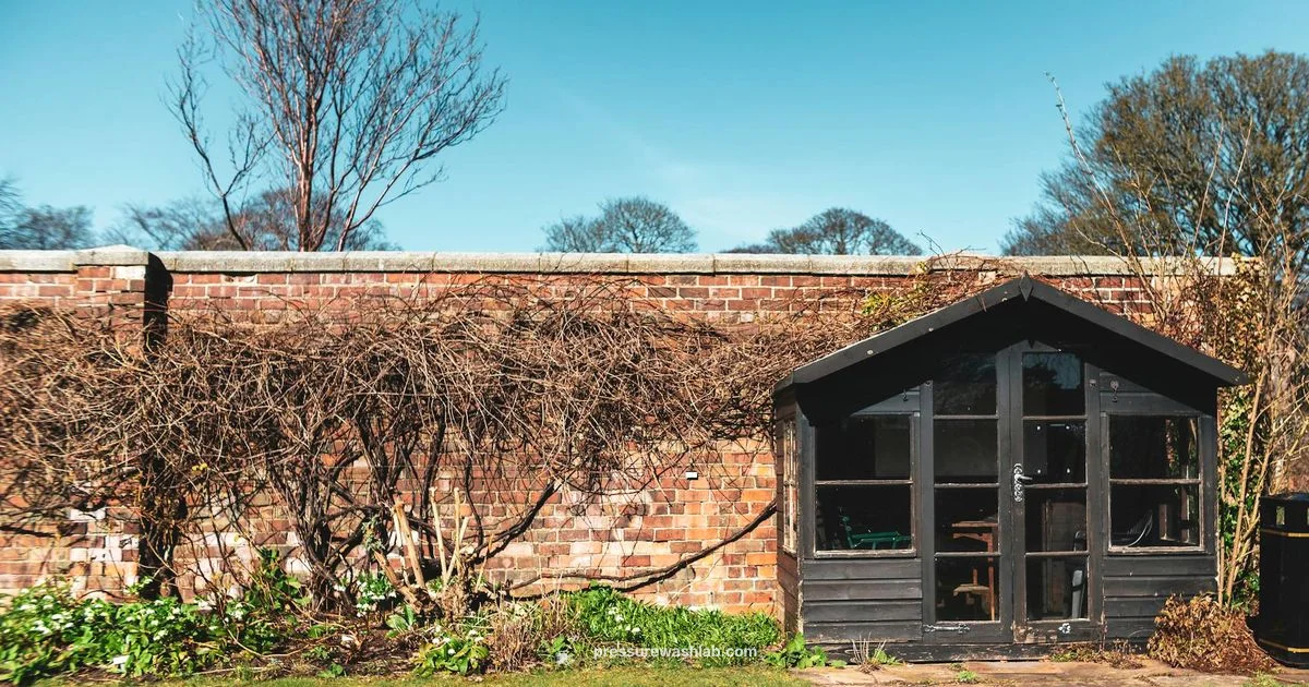 K2 Review Snapshot - Pressure Wash Lab