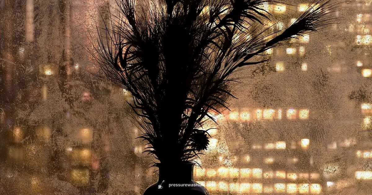 Rainy Day Wash Guide - Pressure Wash Lab