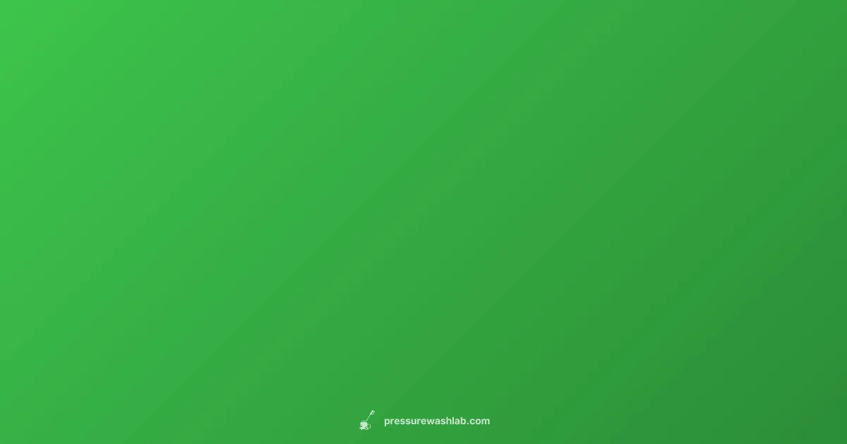 Pull Cord Fix - Pressure Wash Lab (illustration)