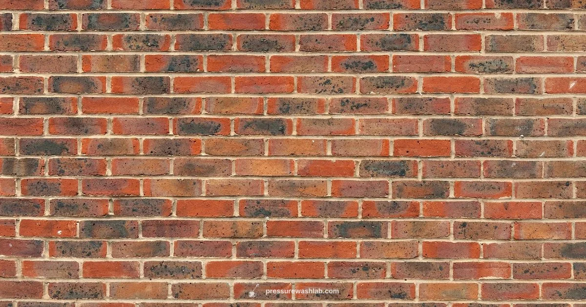 Hose Reel Guide Hose Reel Guide - Pressure Wash Lab