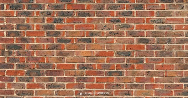 Hose Reel Guide - Pressure Wash Lab