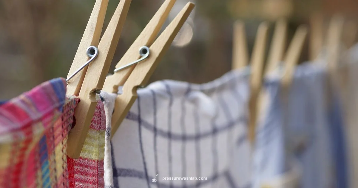 Rug Pressure Wash Guide - Pressure Wash Lab