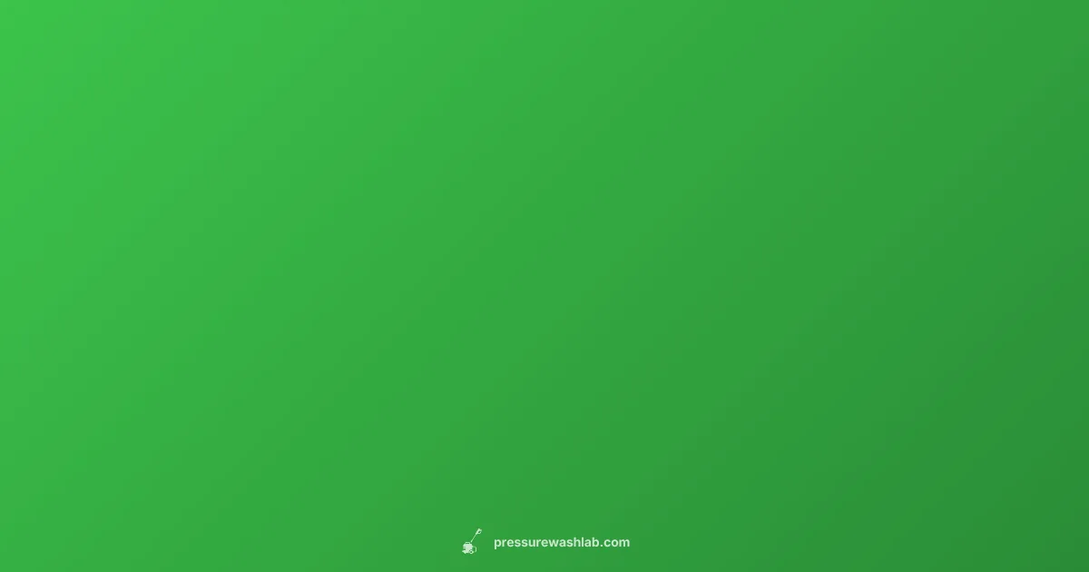 WaterBlitz Pressure Washer Review WaterBlitz Pressure Washer Review - Pressure Wash Lab (illustration)