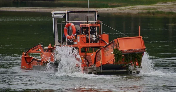 Algae on Concrete - Pressure Wash Lab