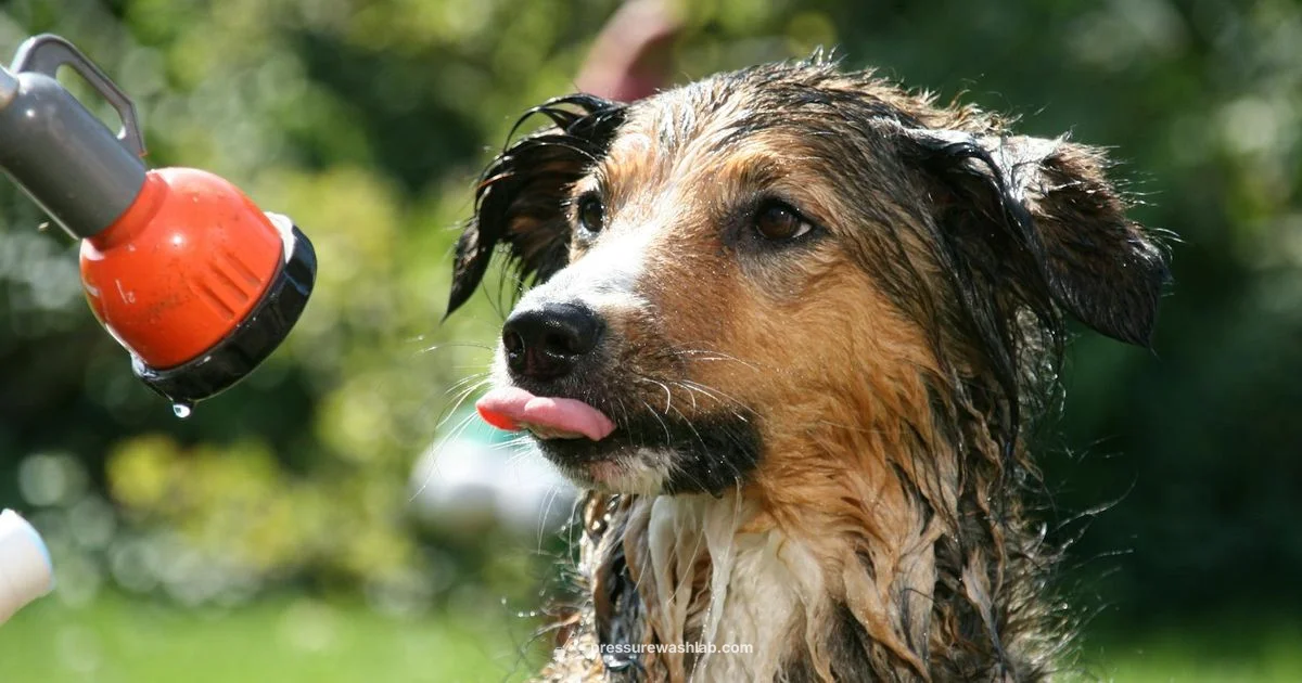 Vinyl Siding Wash - Pressure Wash Lab