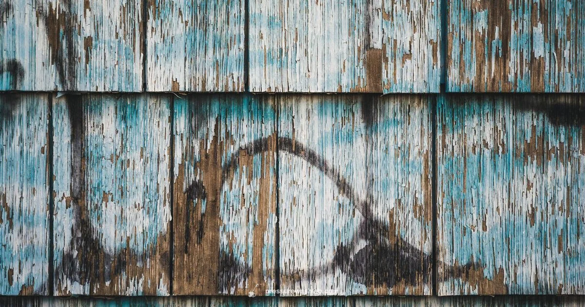 Fresh Paint Wash - Pressure Wash Lab