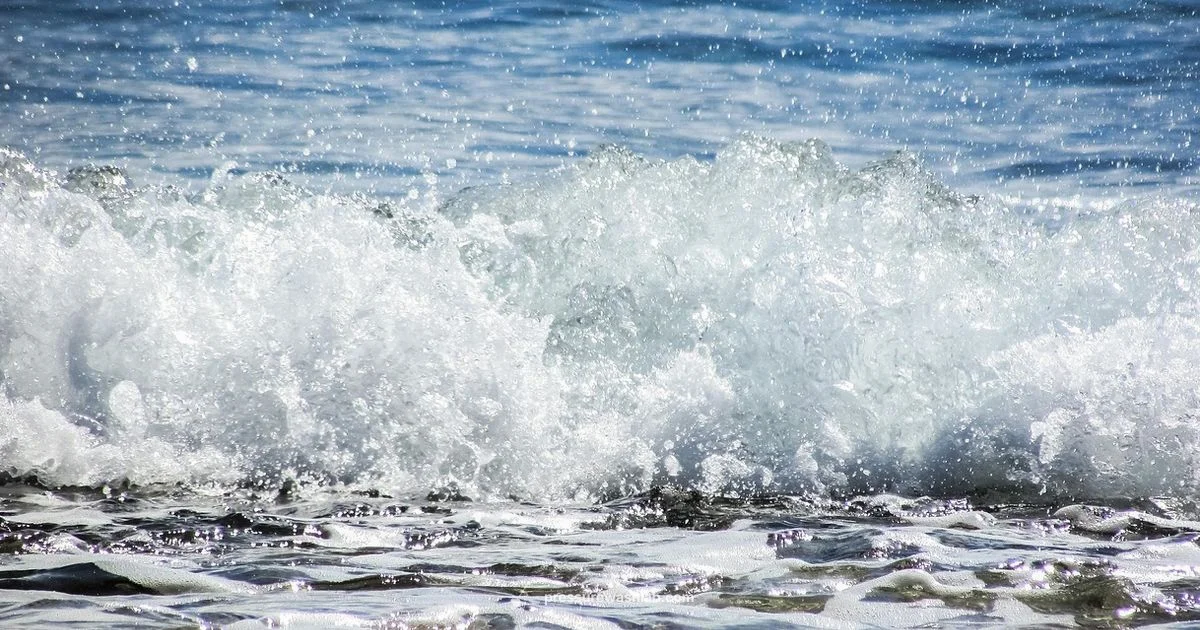Foam Cannon Essentials - Pressure Wash Lab