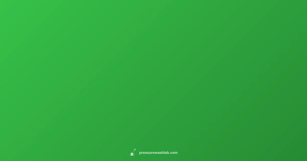 1400W Power Check - Pressure Wash Lab (illustration)