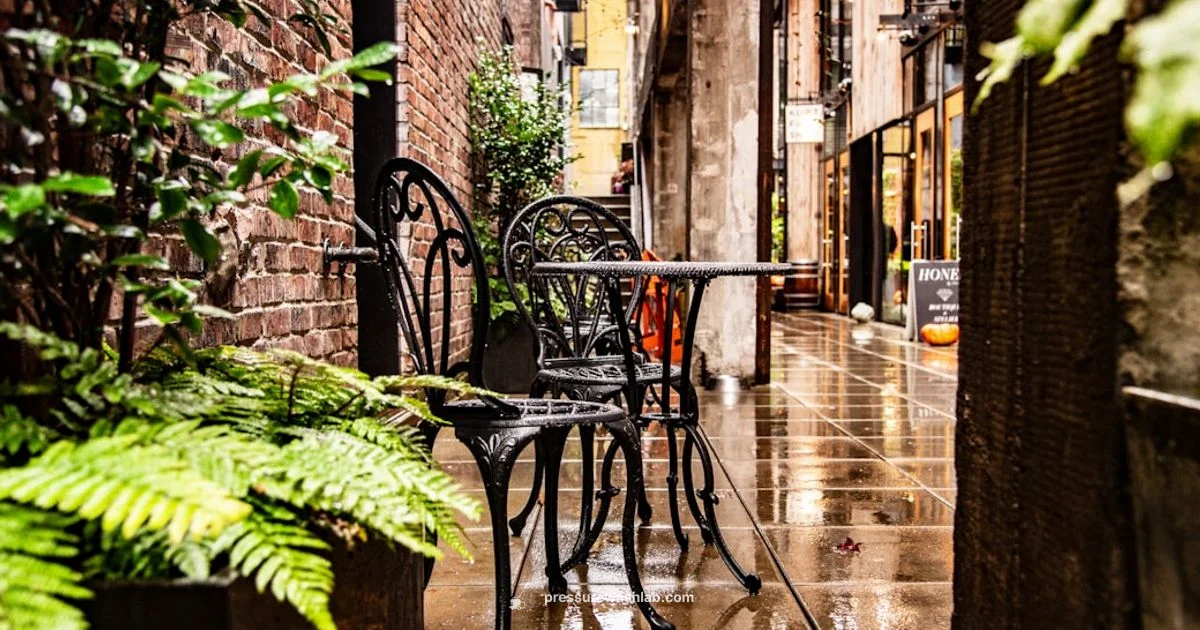 Black Decker Water Jet Review - Pressure Wash Lab