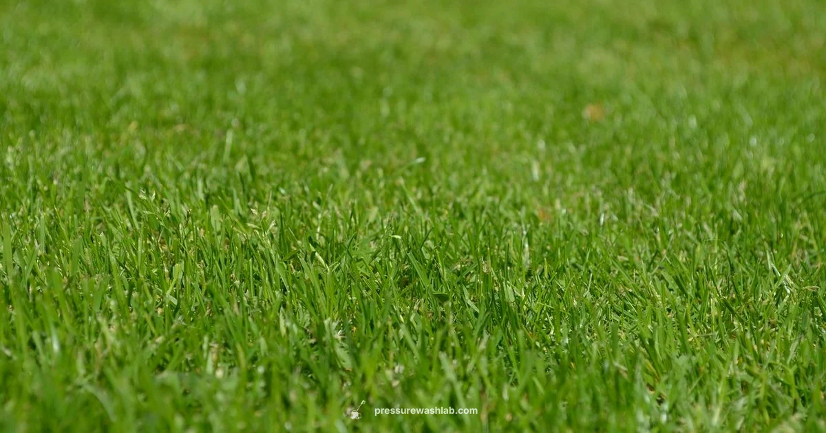 Husqvarna Pressure Guide - Pressure Wash Lab