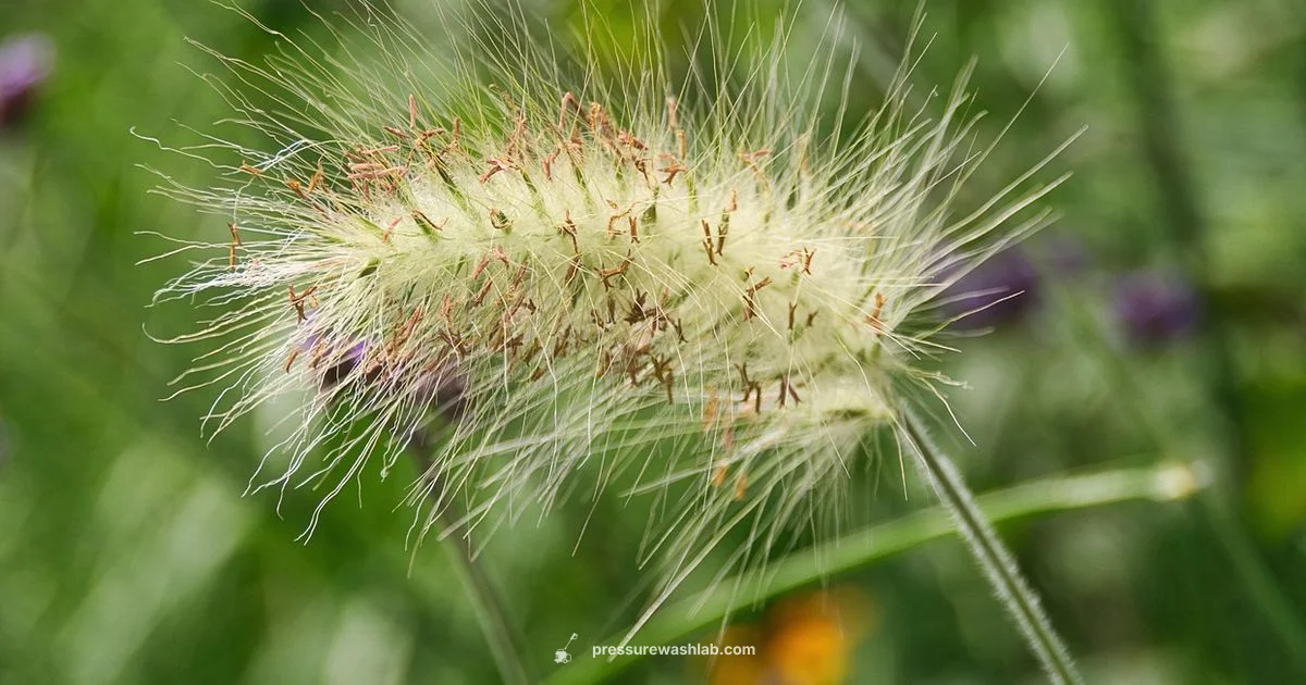 Popular Pressure Washers - Pressure Wash Lab