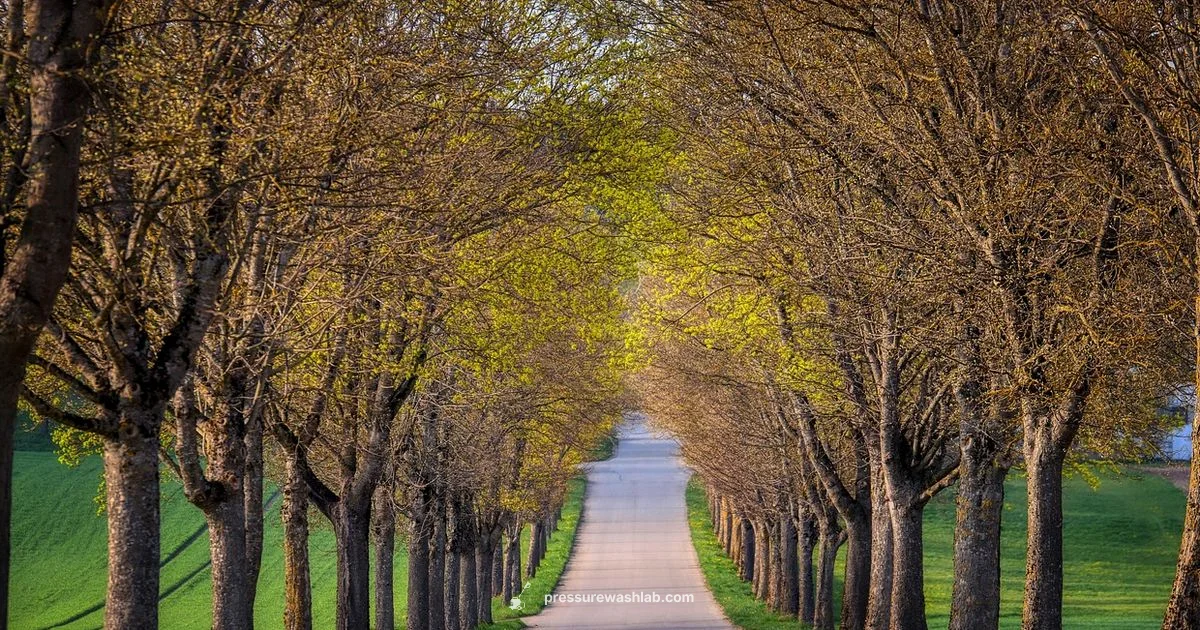 Driveway Clean - Pressure Wash Lab