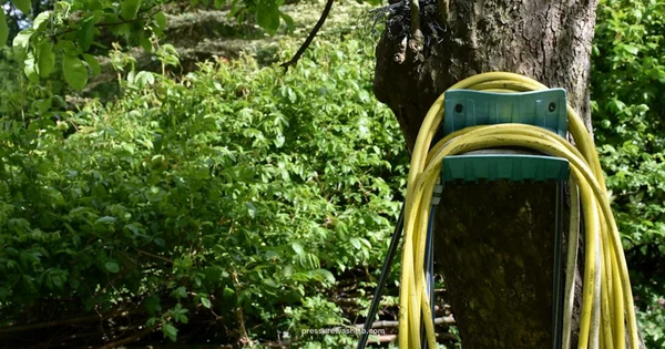 Hoseless Washer Guide - Pressure Wash Lab