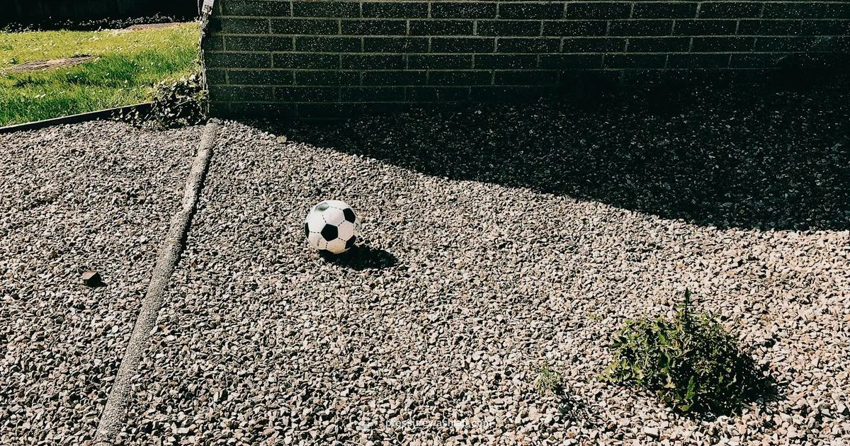 Budget Power, Big Value - Pressure Wash Lab