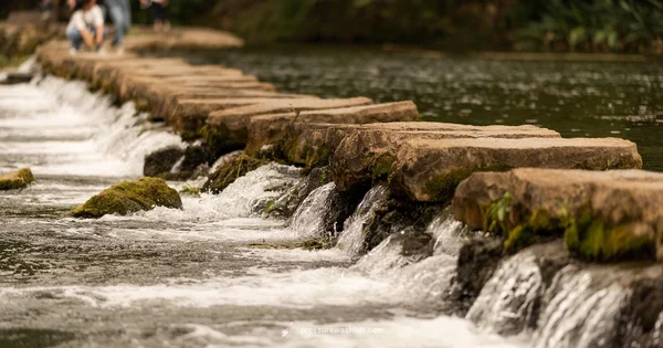 Hose & Washer Setup - Pressure Wash Lab