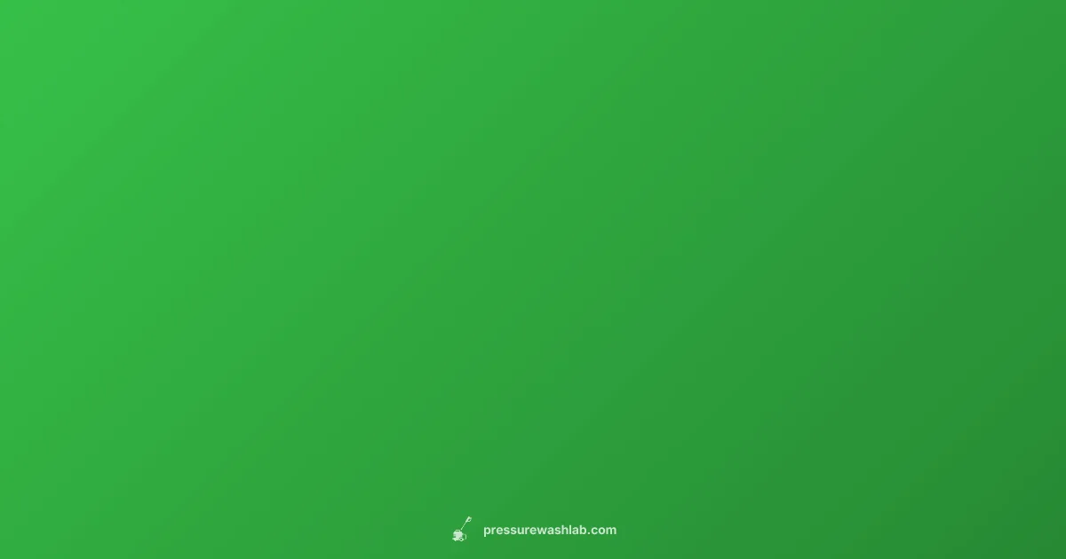 DeWalt Pressure Washers - Pressure Wash Lab (illustration)