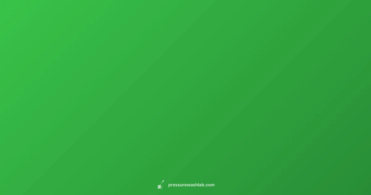 Ryobi Pressure Washer Review - Pressure Wash Lab (illustration)