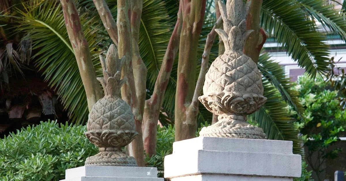 Charleston Power Clean - Pressure Wash Lab