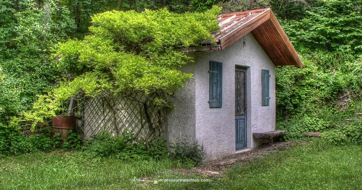 Exterior Power Washing Guide - Pressure Wash Lab