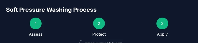 Process diagram showing assess, protect, apply steps for soft pressure washing