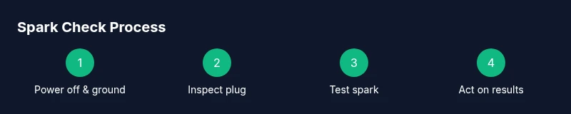 Process diagram showing spark check steps