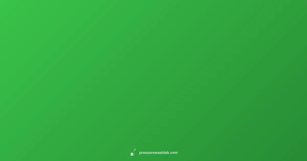 Sale Timing Guide - Pressure Wash Lab (illustration)