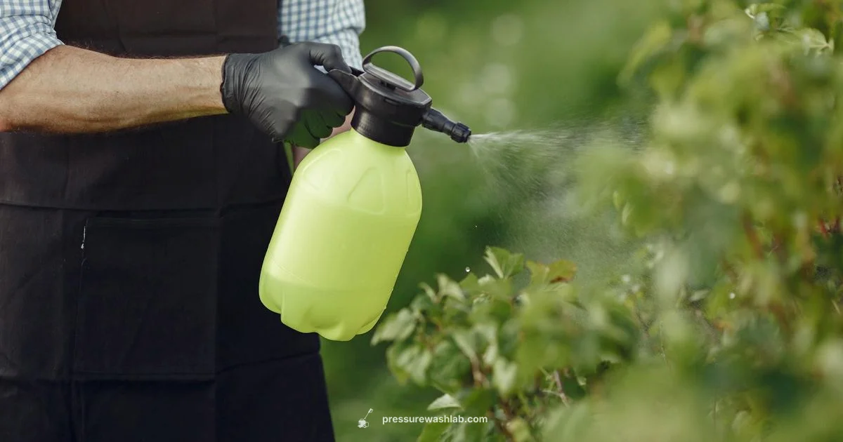 High Power, Precise Control - Pressure Wash Lab