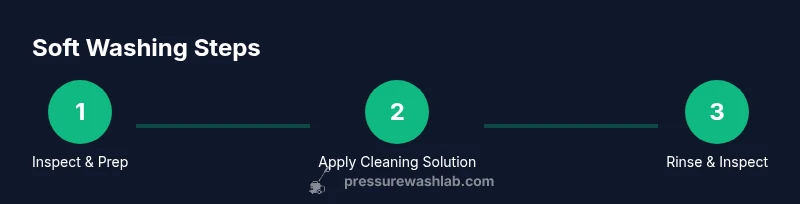 Process diagram showing soft washing steps