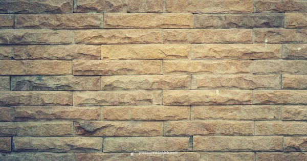 Brick Cleaning Guide - Pressure Wash Lab