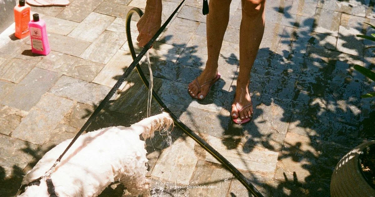 Hose Buying Guide - Pressure Wash Lab