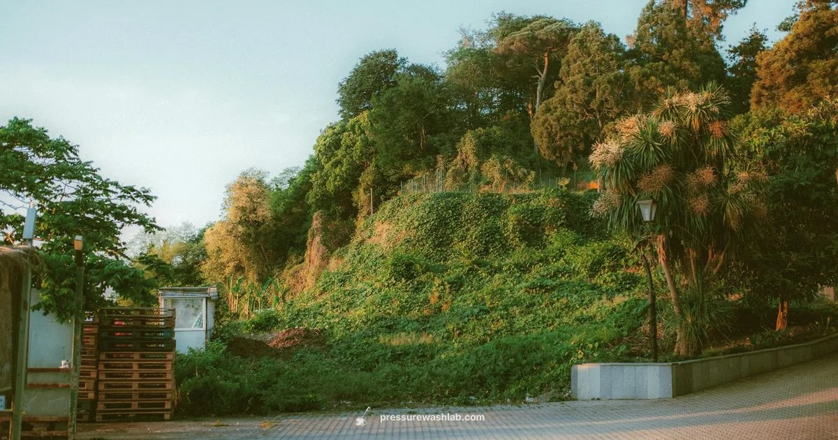 B&Q Karcher Review - Pressure Wash Lab