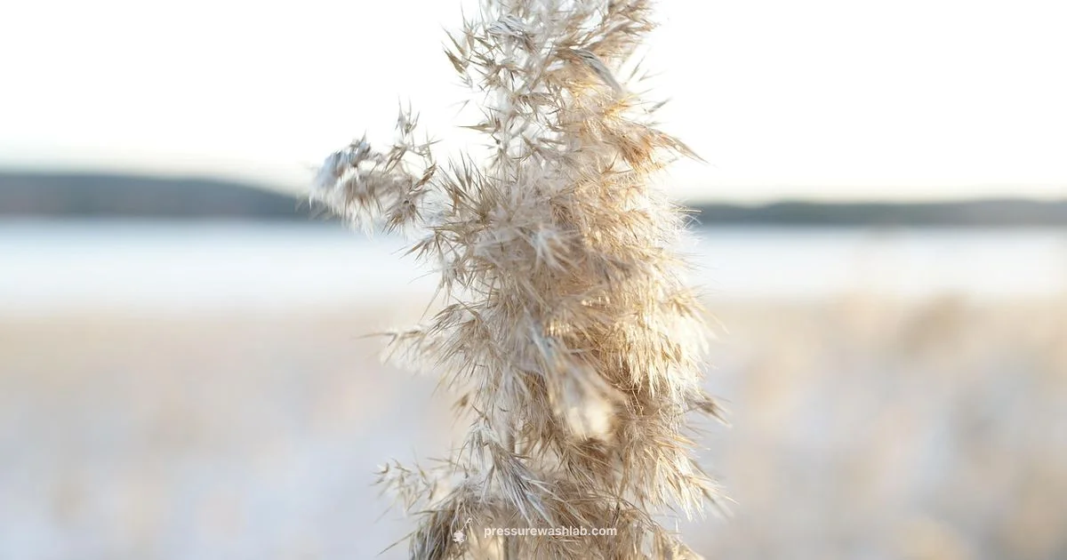 Winterize Your Washer - Pressure Wash Lab