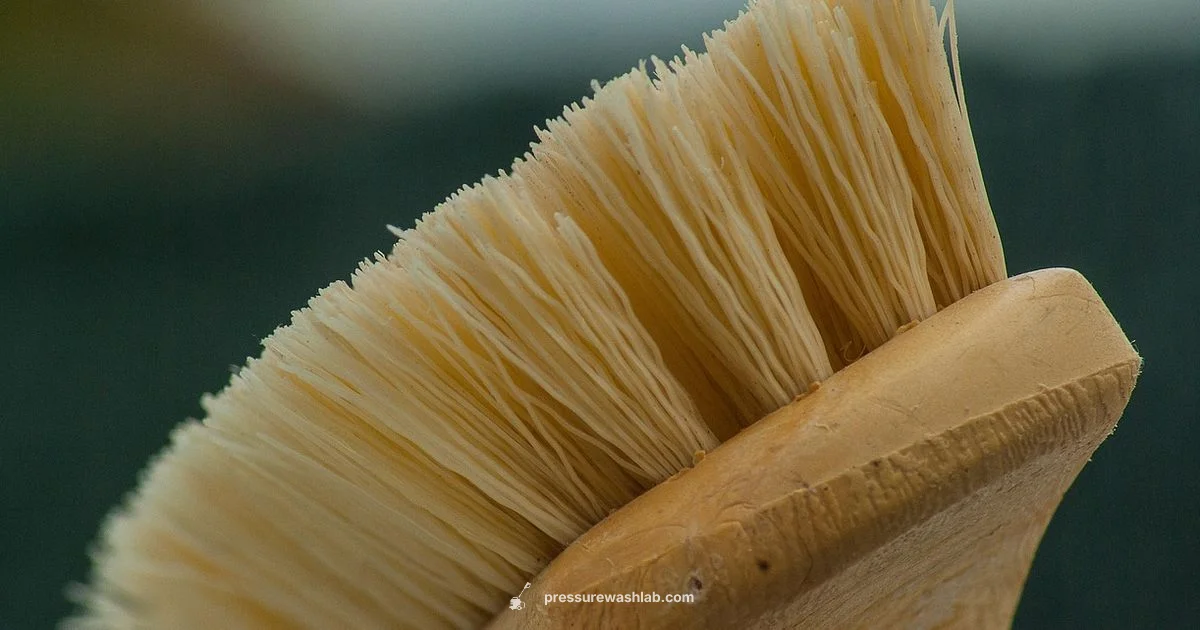 Driveway Cleaner Picks Driveway Cleaner Picks - Pressure Wash Lab