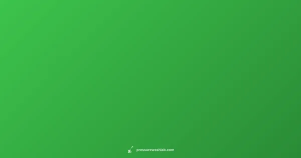 1900 PSI Guide - Pressure Wash Lab (illustration)