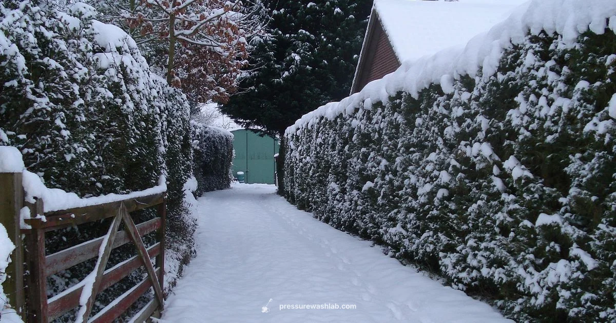 Snow vs Washer Snow vs Washer - Pressure Wash Lab